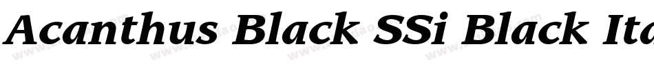 Acanthus Black SSi Black Italic字体转换
